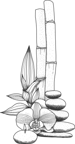 https://silhouettemedispa.ca/wp-content/uploads/2025/10/cbn-2-1.png